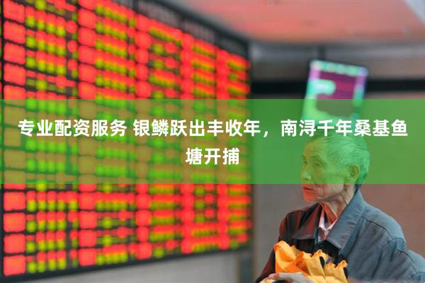 专业配资服务 银鳞跃出丰收年，南浔千年桑基鱼塘开捕
